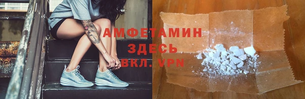 прущие грибы Корсаков