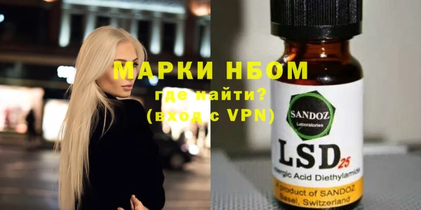 прущие грибы Корсаков