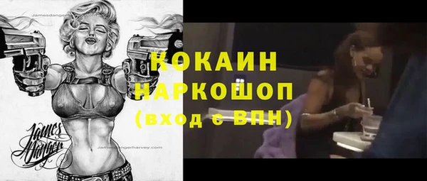 прущие грибы Корсаков