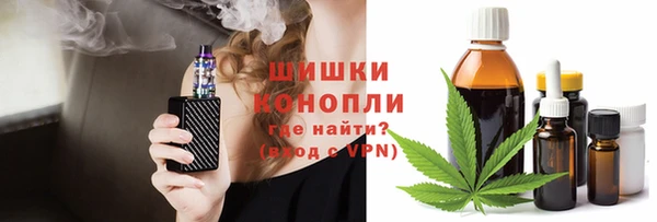 прущие грибы Корсаков