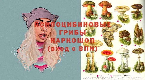 кокс Костерёво