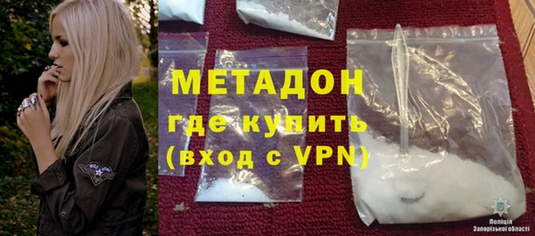 прущие грибы Корсаков
