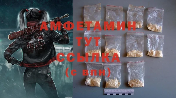 прущие грибы Корсаков