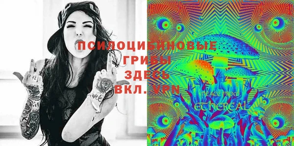 Альфа ПВП Краснослободск