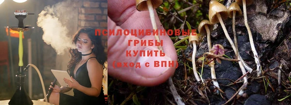 кокс Костерёво