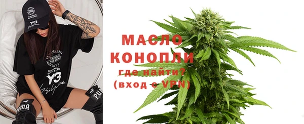 прущие грибы Корсаков