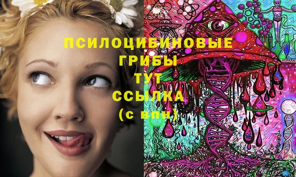 кокс Костерёво